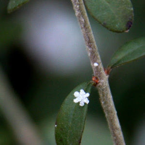 Meet your Posher, Abigail
